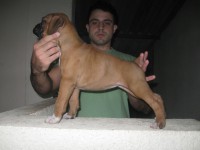 /album/satre-x-shena1/f%c3%aamea-4-jpg1/